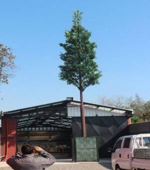 مبدل تک قطبی درخت مصنوعی برج تلفن همراه